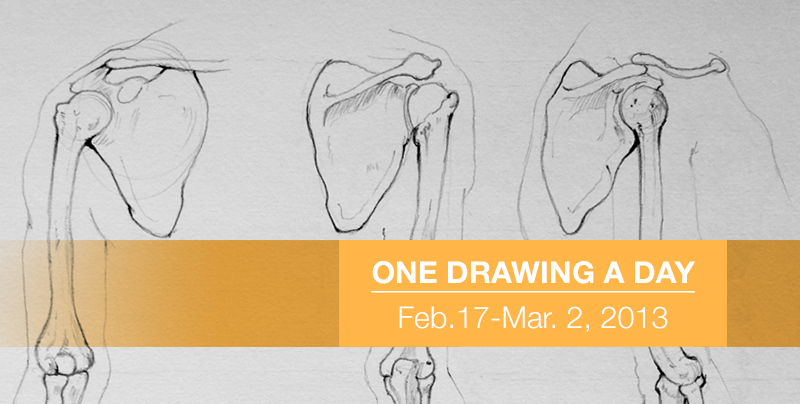 Sketchbook: One Drawing a Day: Skeleton